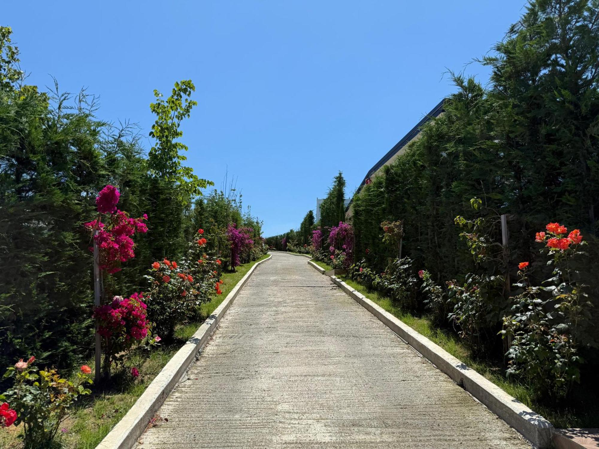 Top Villas Durres